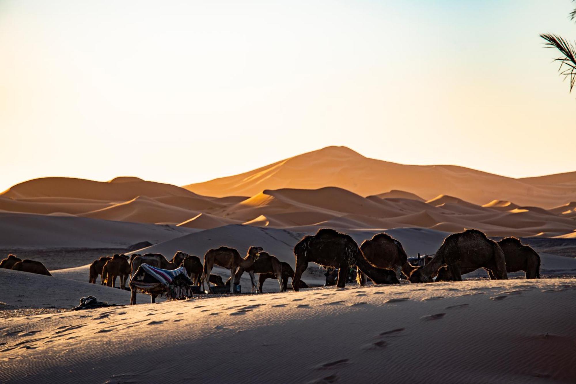 Kanz Erremal Merzouga Luaran gambar