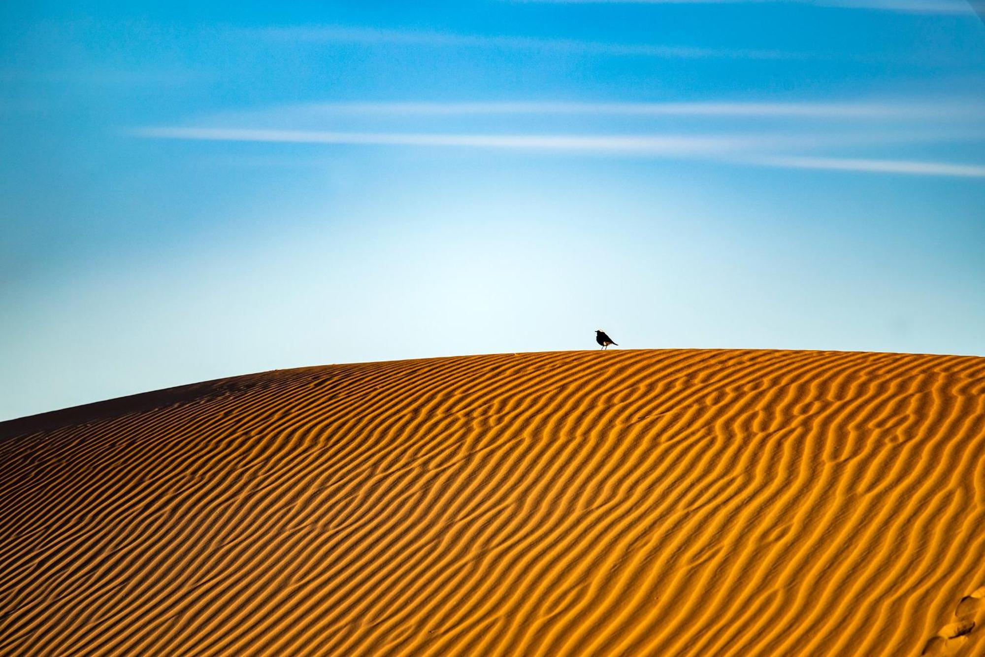 Kanz Erremal Merzouga Luaran gambar